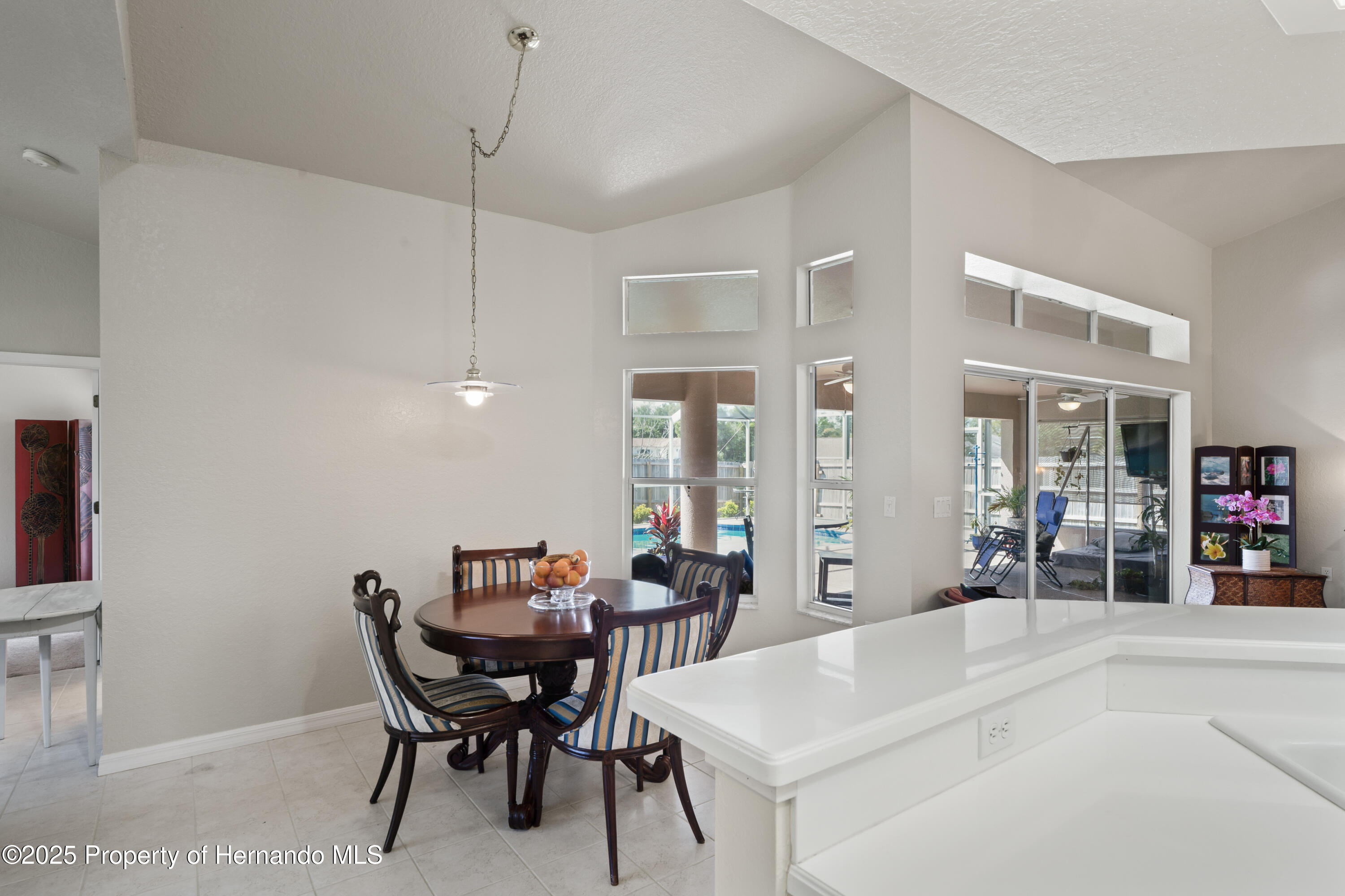 12300 Drake Lane, Spring Hill, Florida image 22