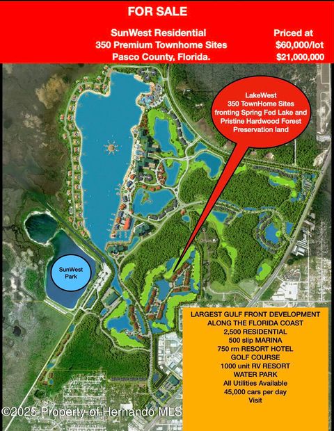 Vacant Land For Sale - Racetrack Road<br/> Hudson, FL 34667