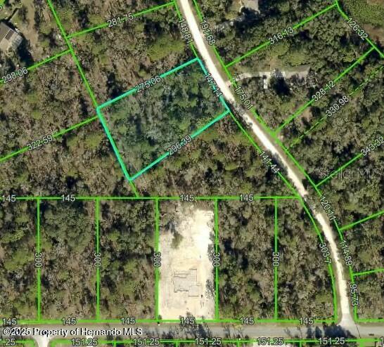 10520 Yellowlegs Avenue, Weeki Wachee, Florida image 2