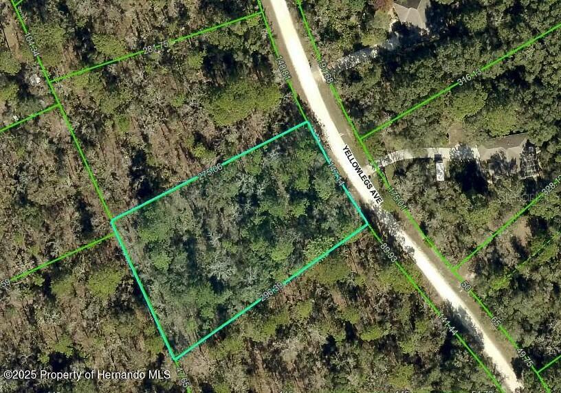 10520 Yellowlegs Avenue, Weeki Wachee, Florida image 1