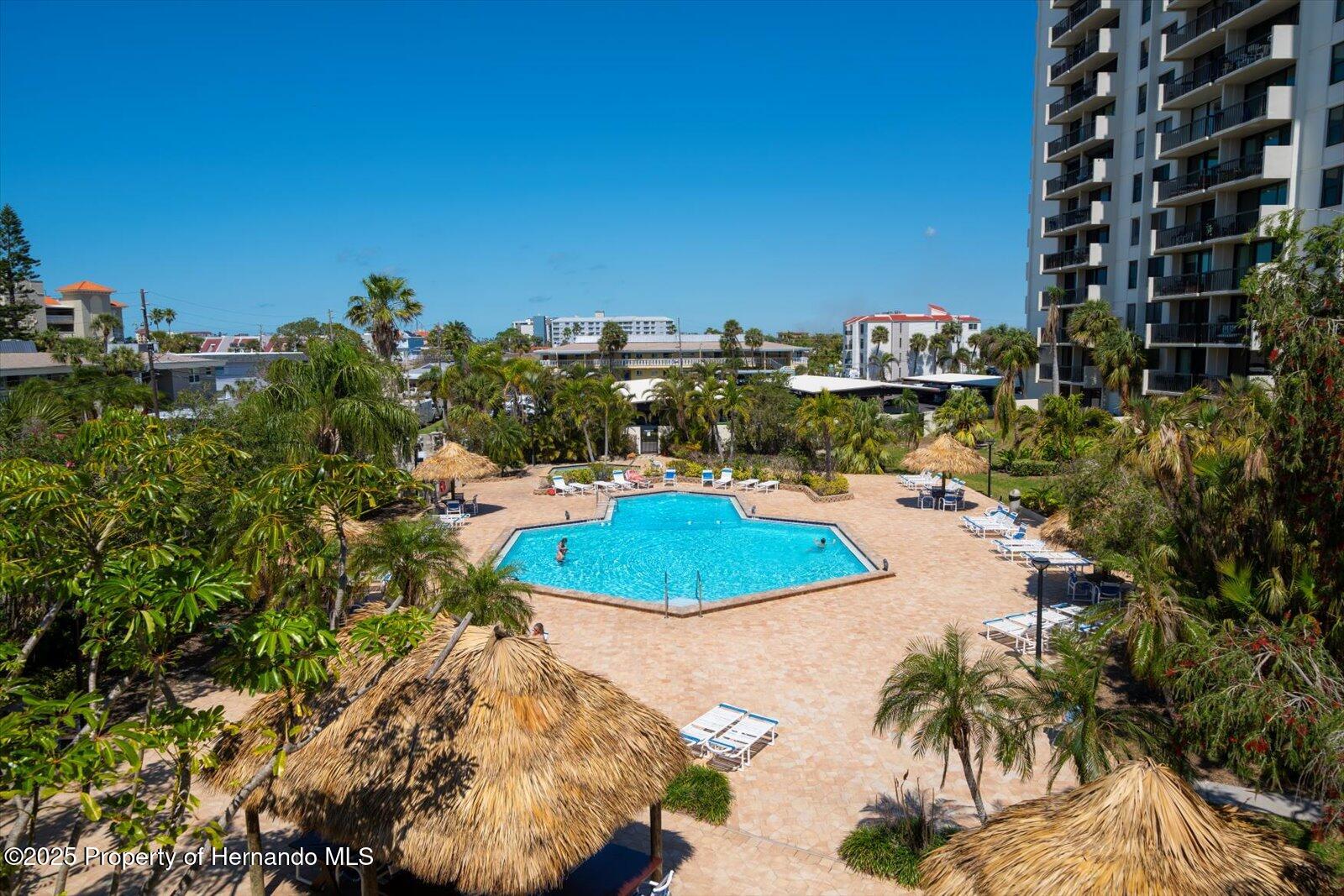 320 Island Way, Clearwater, Florida image 6