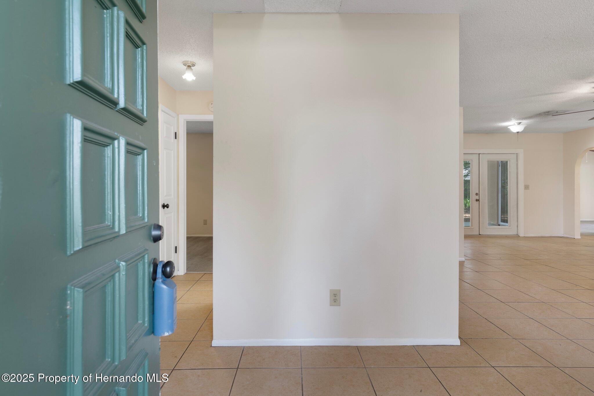 8431 Spring Hill Drive, Spring Hill, Florida image 5