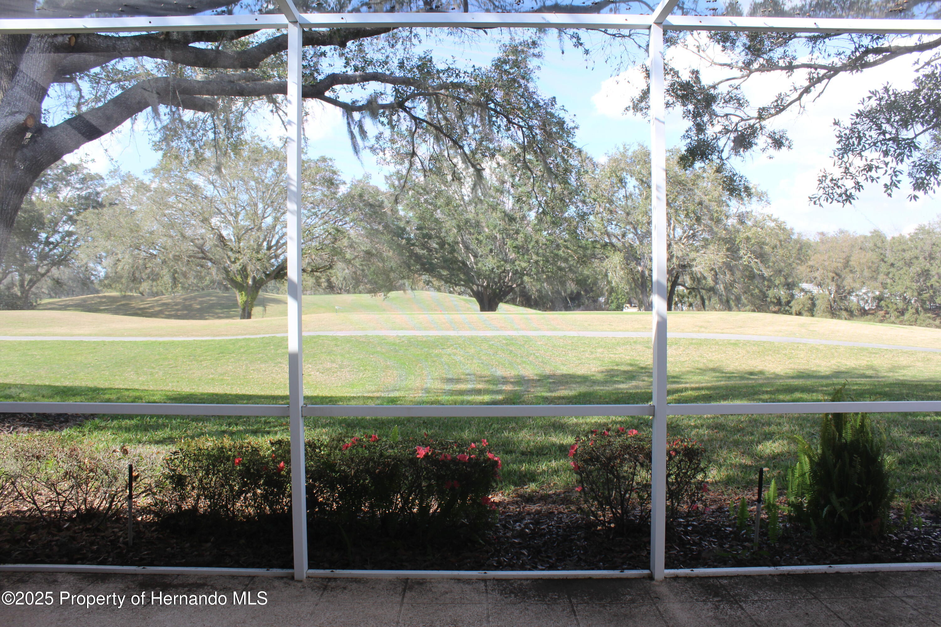 15033 Middle Fairway Drive, Spring Hill, Florida image 4