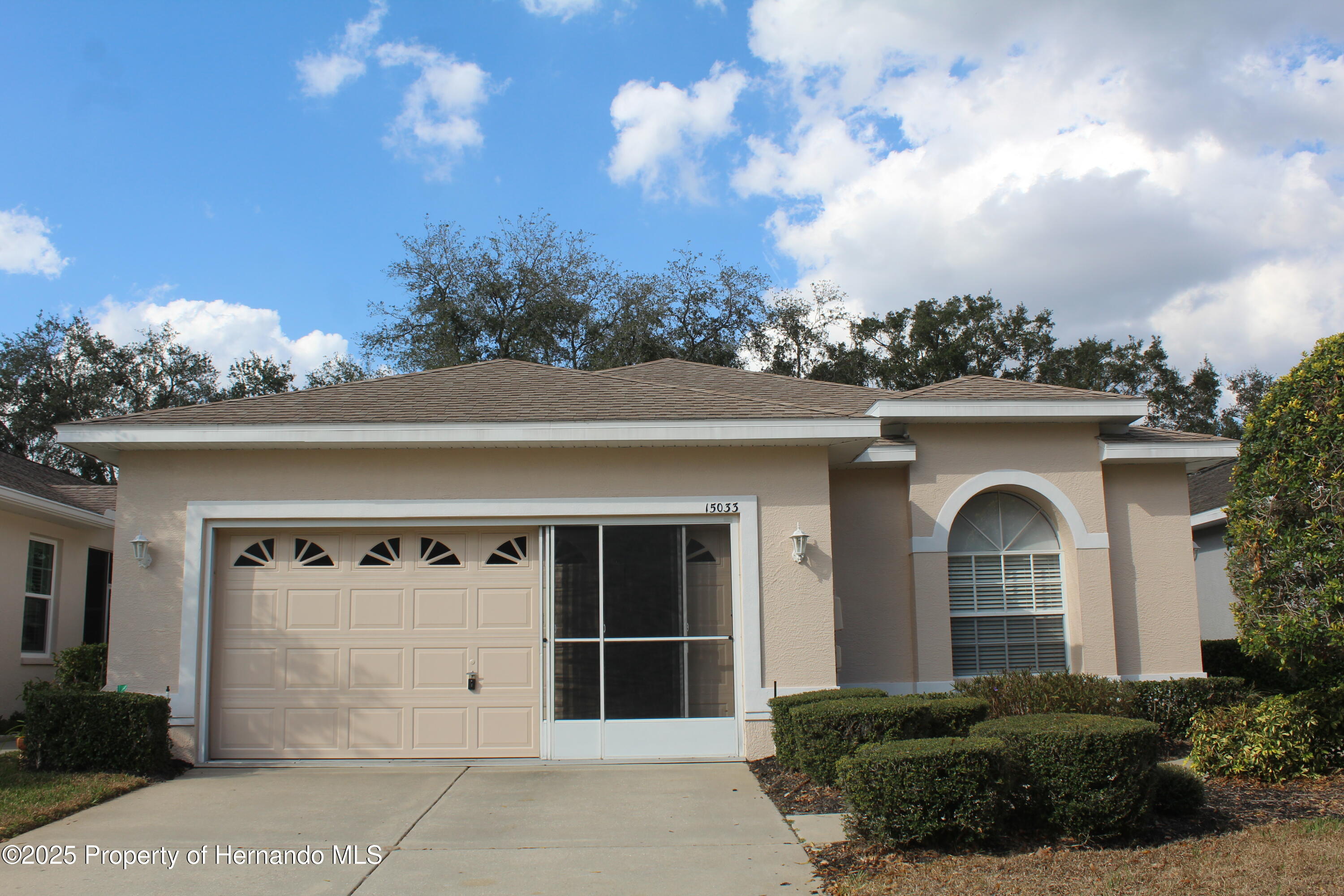 15033 Middle Fairway Drive, Spring Hill, Florida image 1