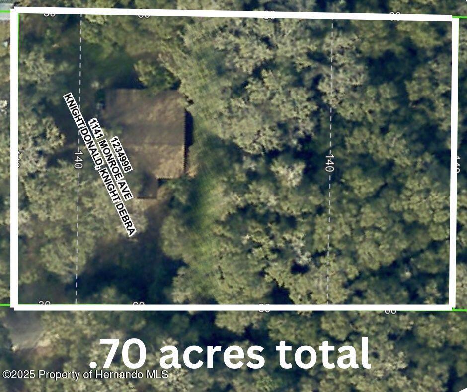 1141 Monroe Avenue, Brooksville, Florida image 3