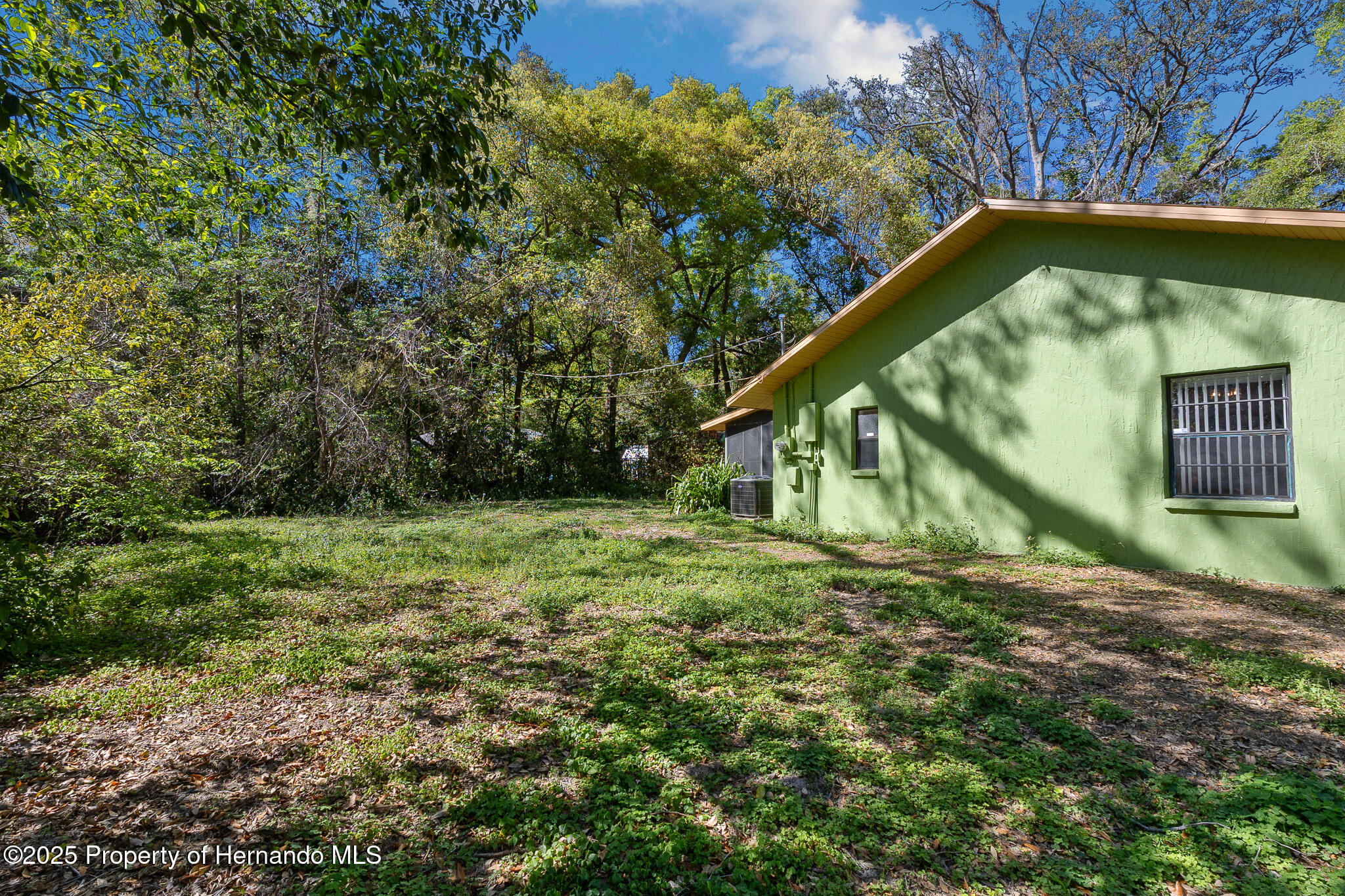 1141 Monroe Avenue, Brooksville, Florida image 2