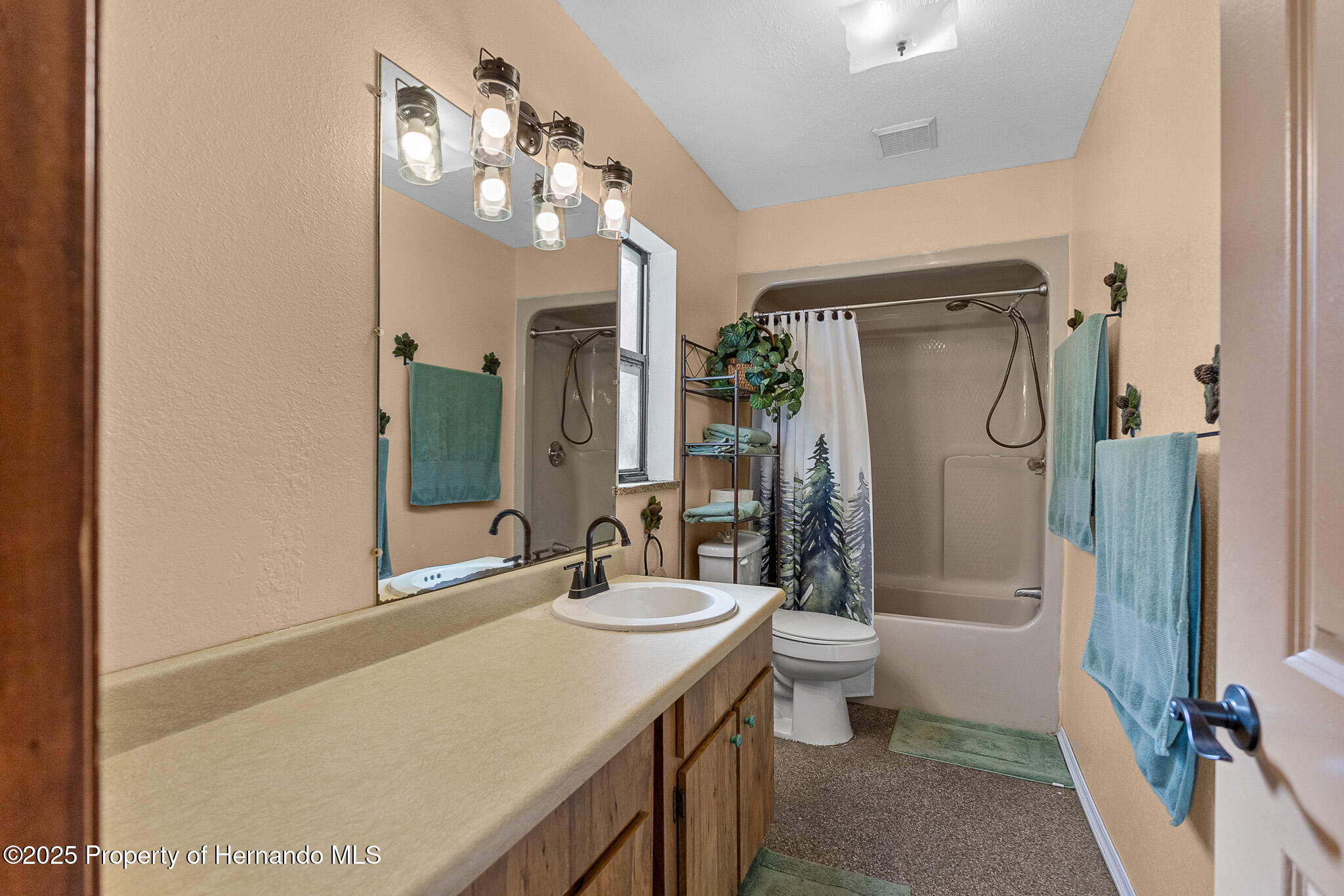 1141 Monroe Avenue, Brooksville, Florida image 25