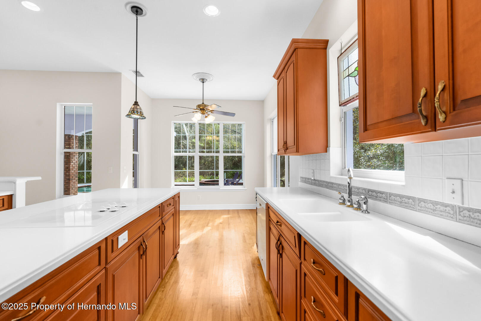 22770 Skyview Circle, Brooksville, Florida image 16