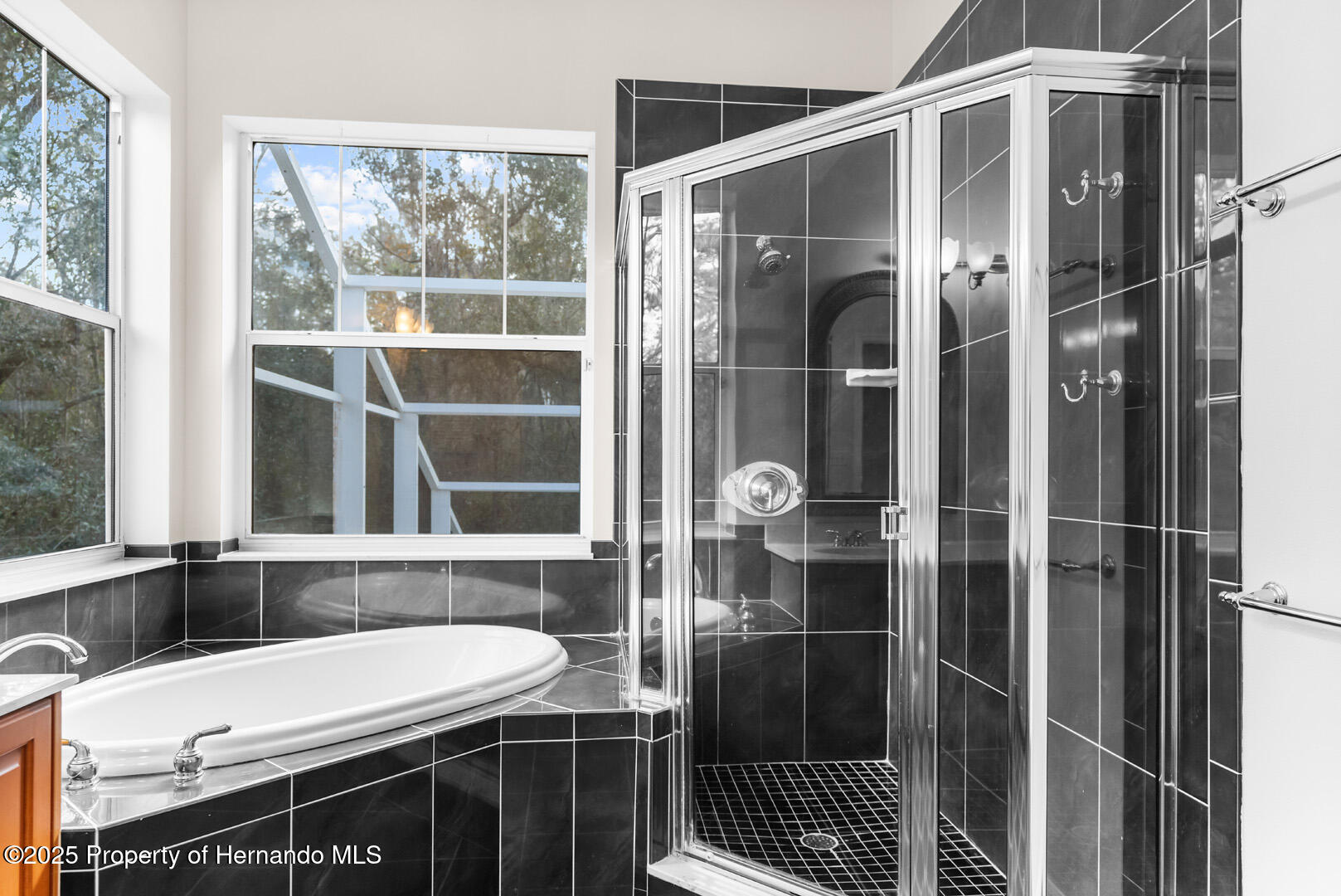 22770 Skyview Circle, Brooksville, Florida image 37