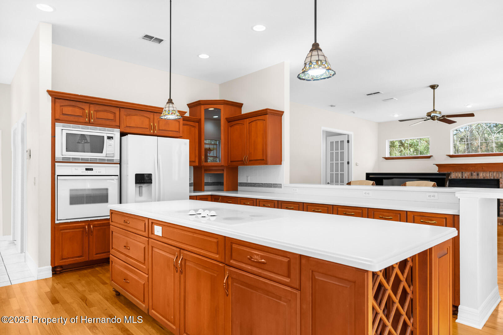 22770 Skyview Circle, Brooksville, Florida image 14