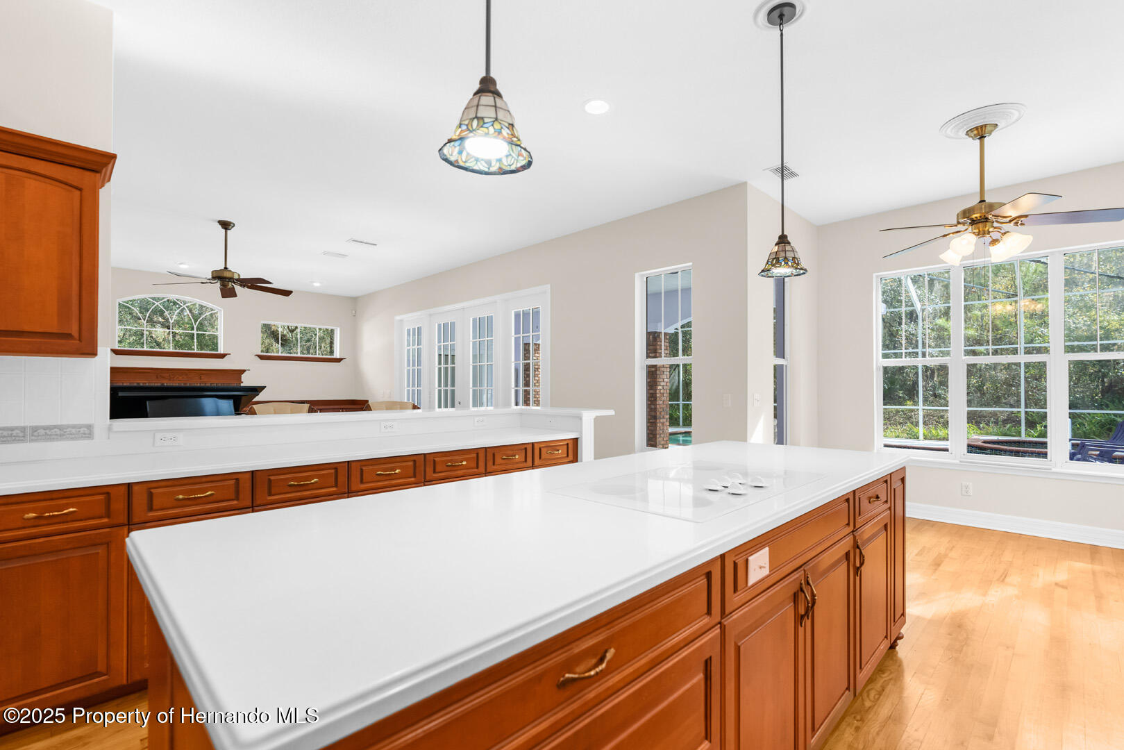 22770 Skyview Circle, Brooksville, Florida image 17