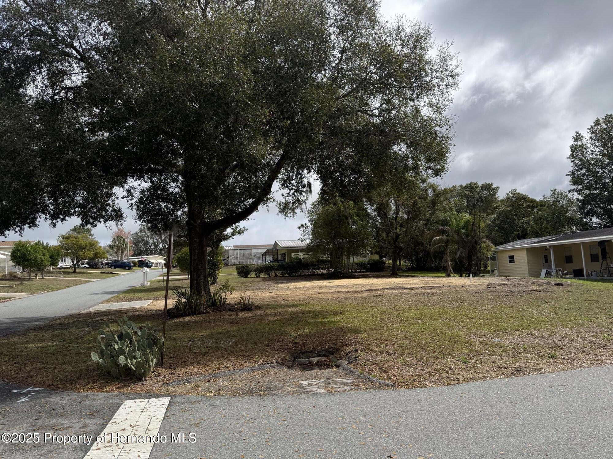 12246 Evantide Avenue, Brooksville, Florida image 4