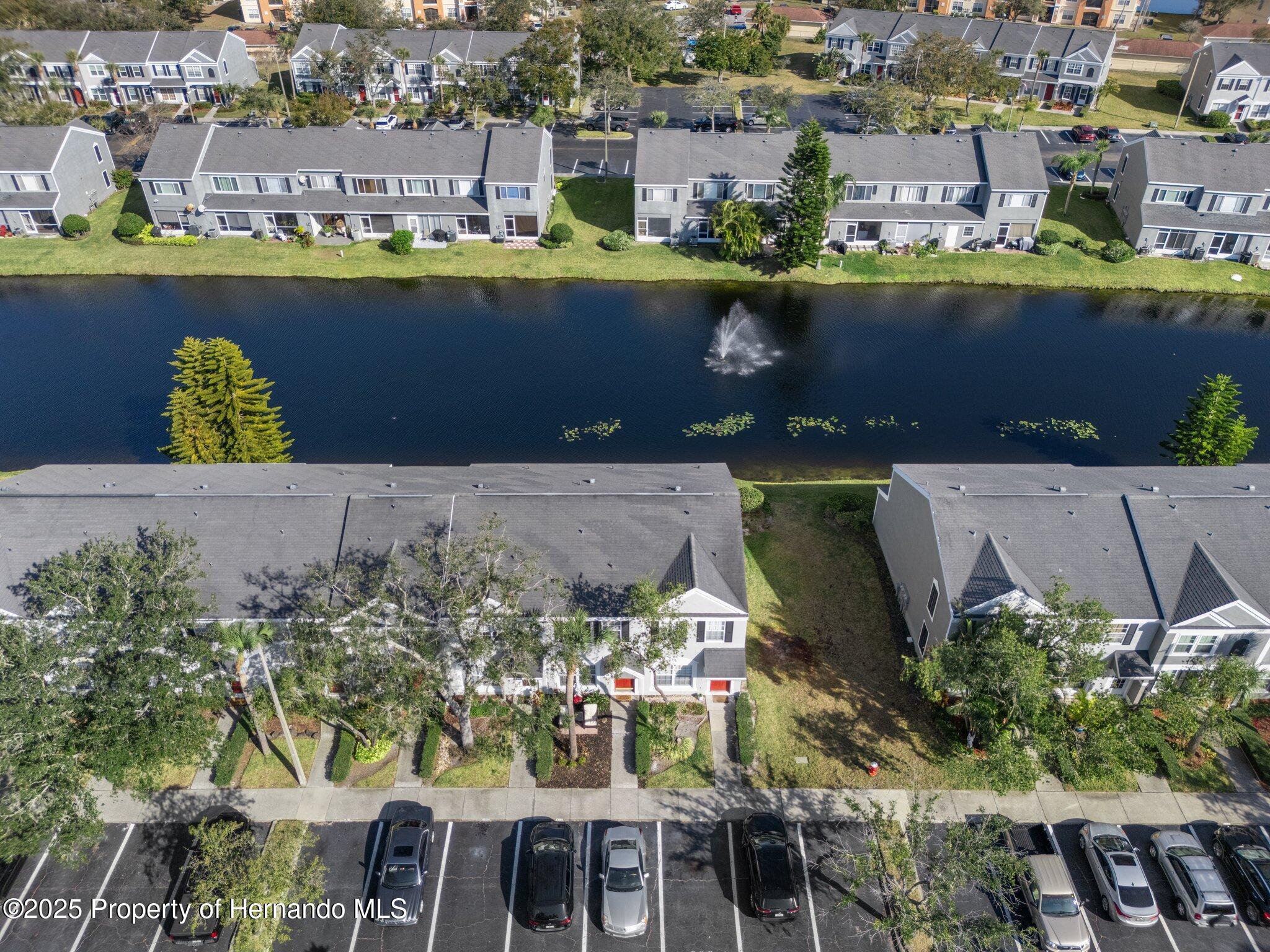 388 Countryside Key Boulevard, Oldsmar, Florida image 30