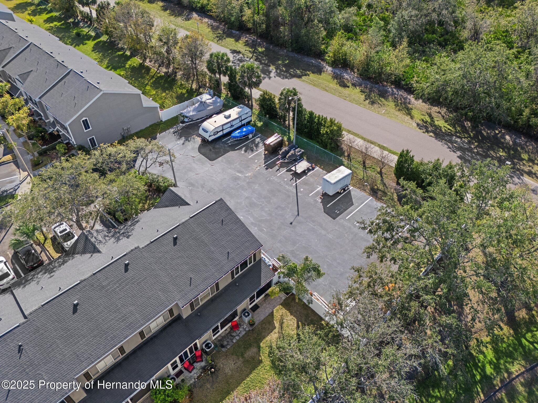 388 Countryside Key Boulevard, Oldsmar, Florida image 34