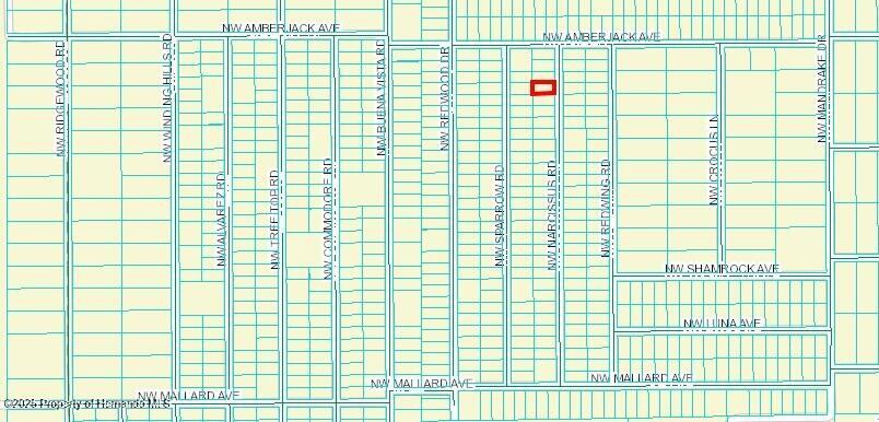 450332 Nw Narcissus Road, Dunnellon, Florida image 2