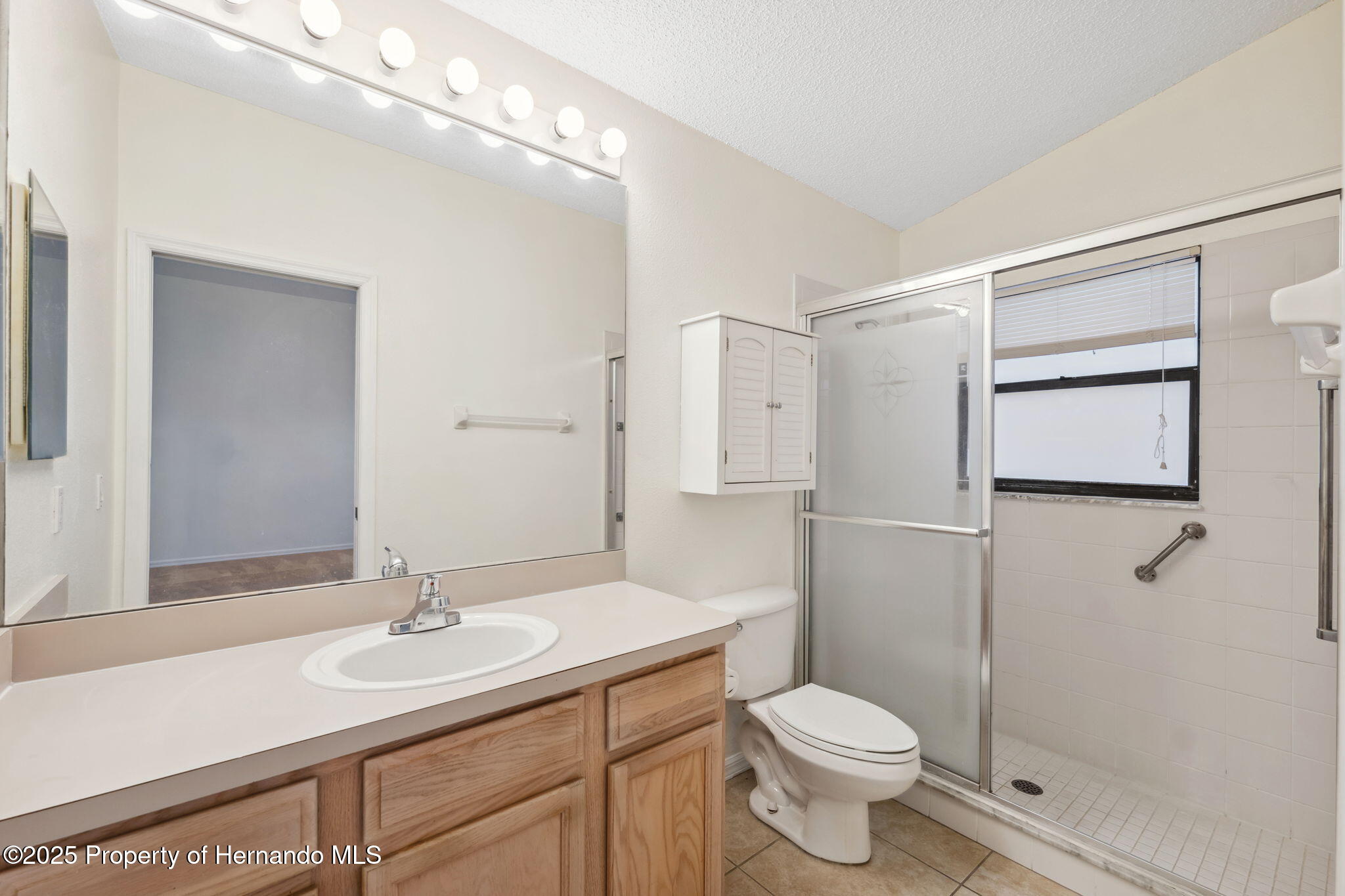 1005 Indigo Run Court, Spring Hill, Florida image 20
