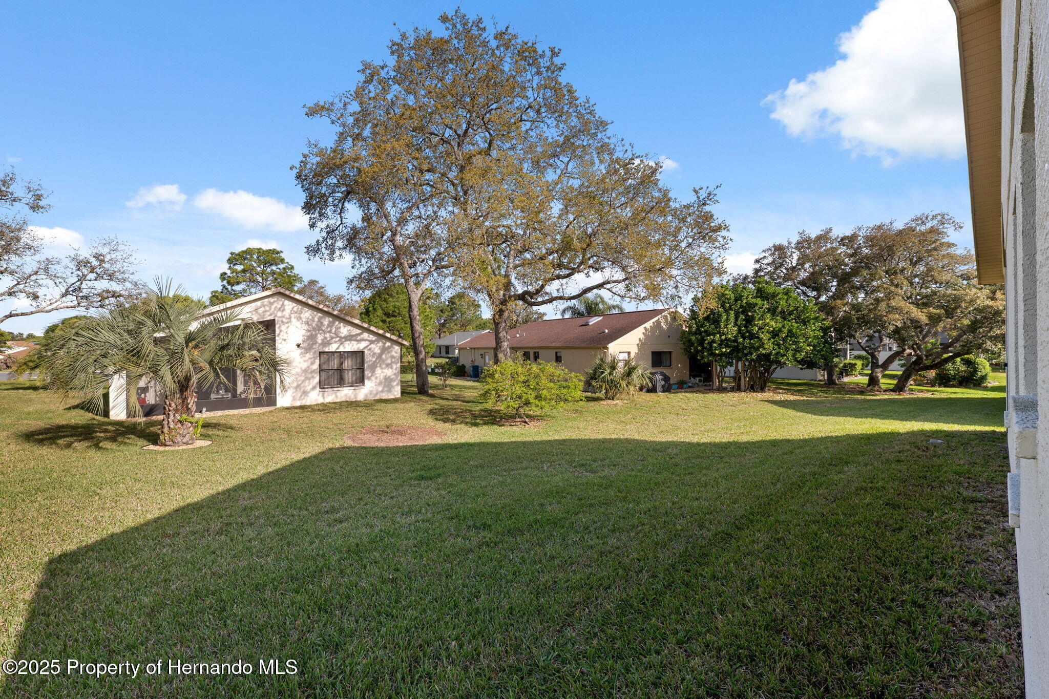 1005 Indigo Run Court, Spring Hill, Florida image 31