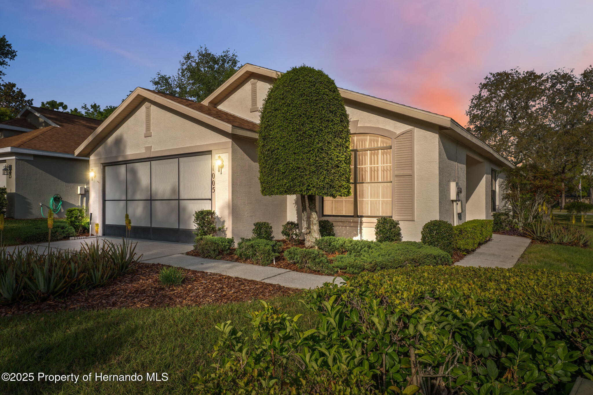 1005 Indigo Run Court, Spring Hill, Florida image 1