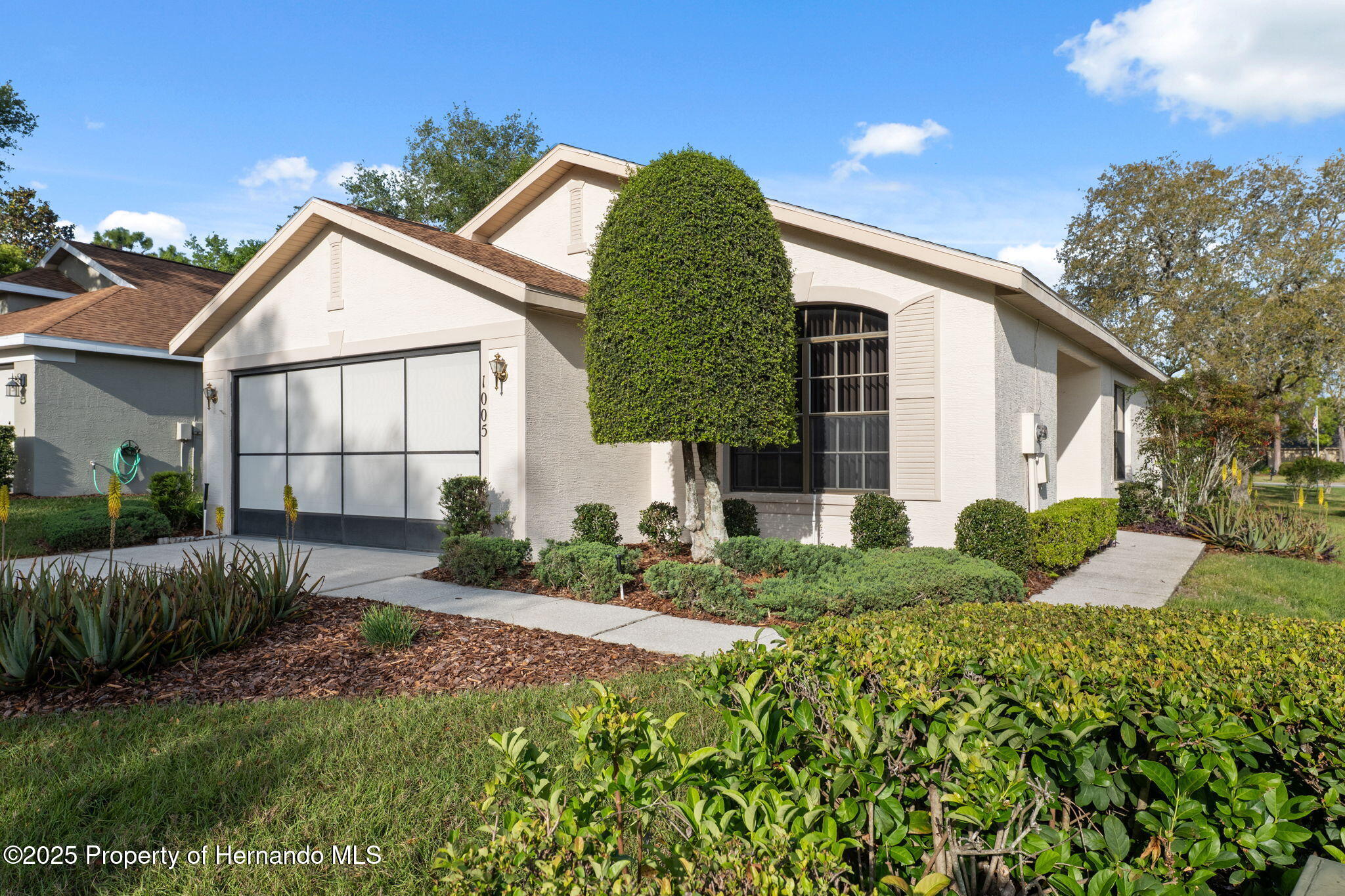 1005 Indigo Run Court, Spring Hill, Florida image 47