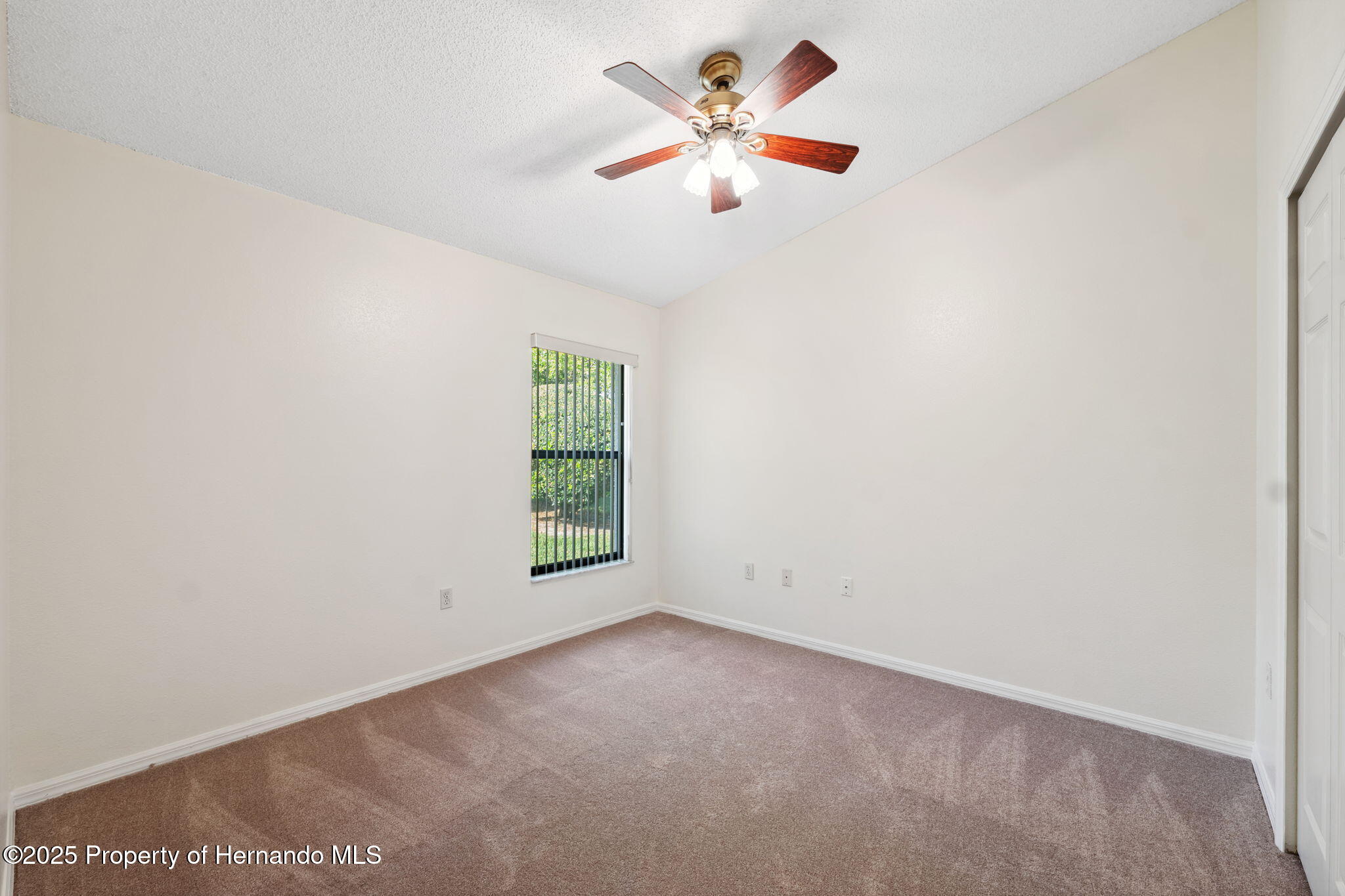 1005 Indigo Run Court, Spring Hill, Florida image 22