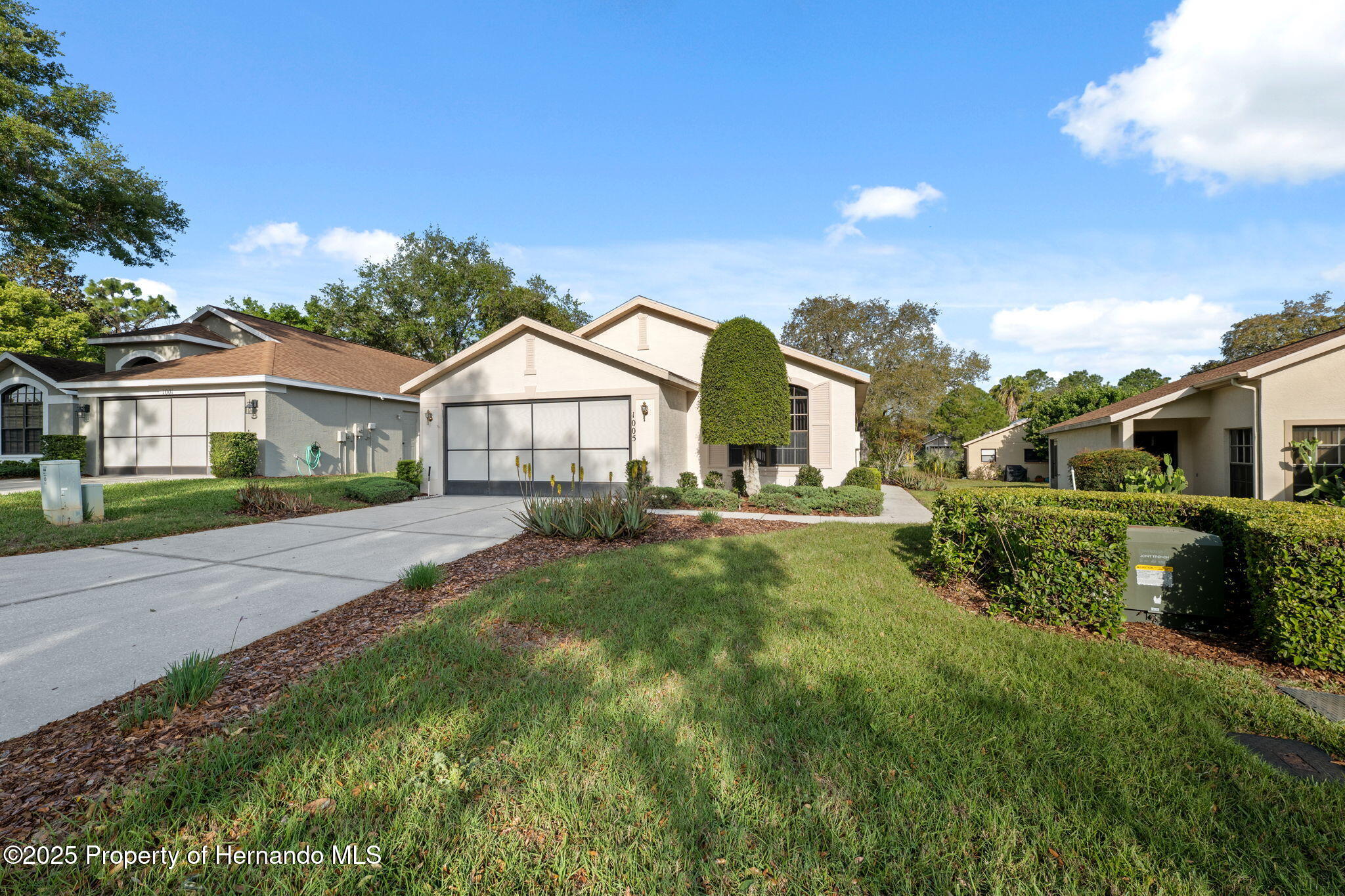 1005 Indigo Run Court, Spring Hill, Florida image 46