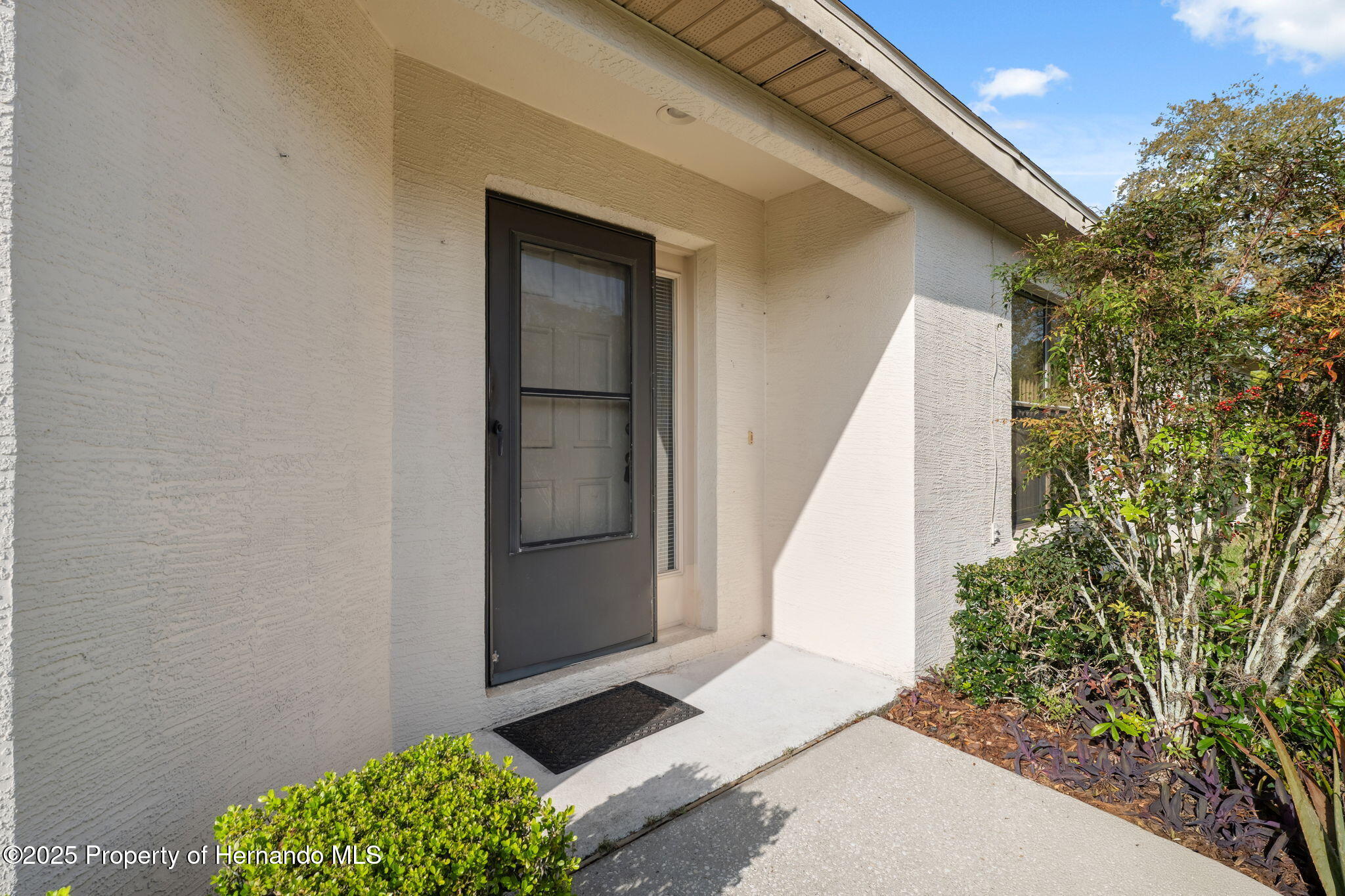 1005 Indigo Run Court, Spring Hill, Florida image 5