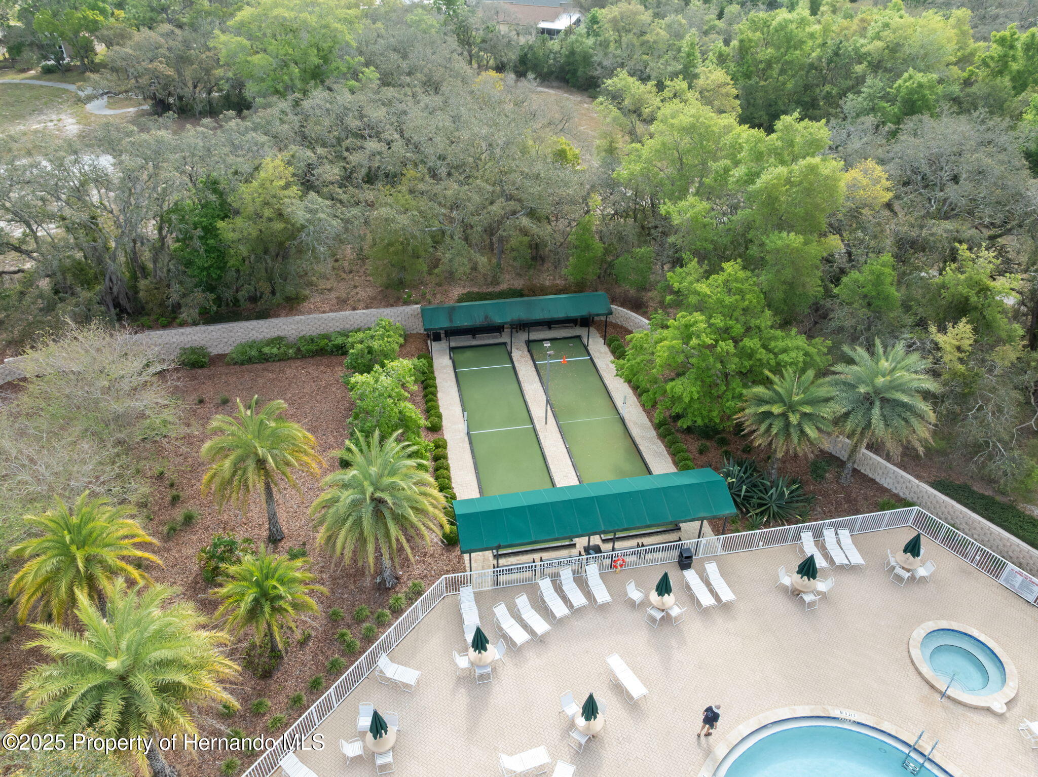 1005 Indigo Run Court, Spring Hill, Florida image 39