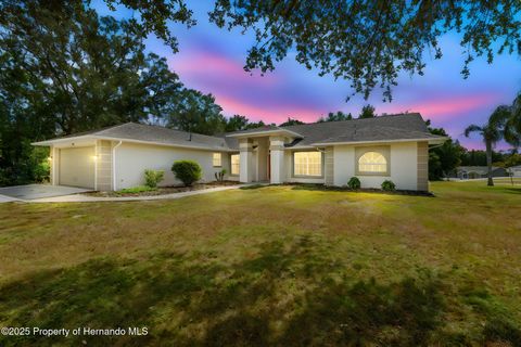 Homes For Sale - 13210 Jessica Drive<br/> Spring Hill, FL 34609