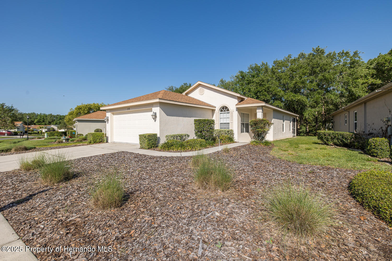 259 Center Oak Circle, Spring Hill, Florida image 5