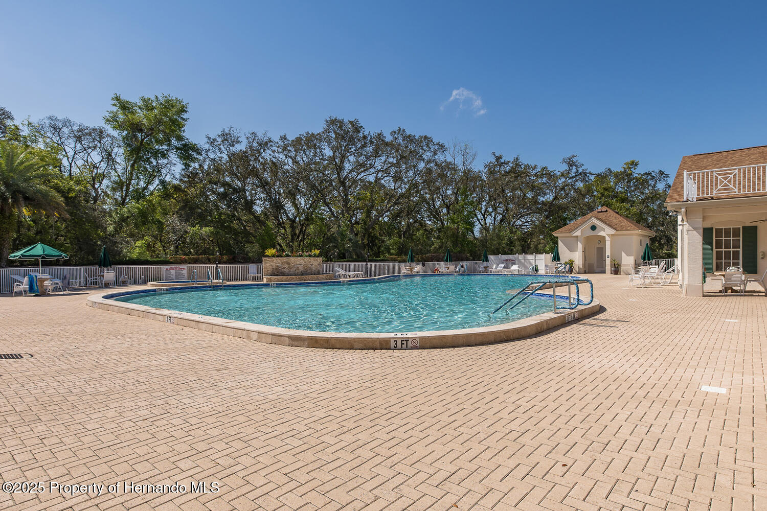 259 Center Oak Circle, Spring Hill, Florida image 50