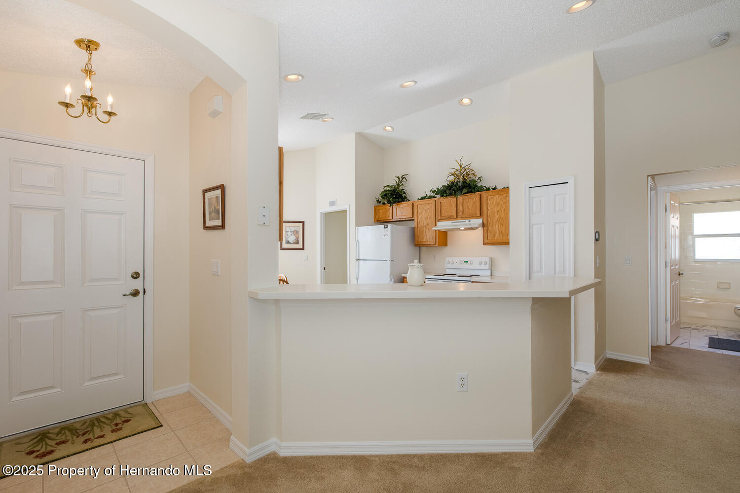 259 Center Oak Circle, Spring Hill, Florida image 14