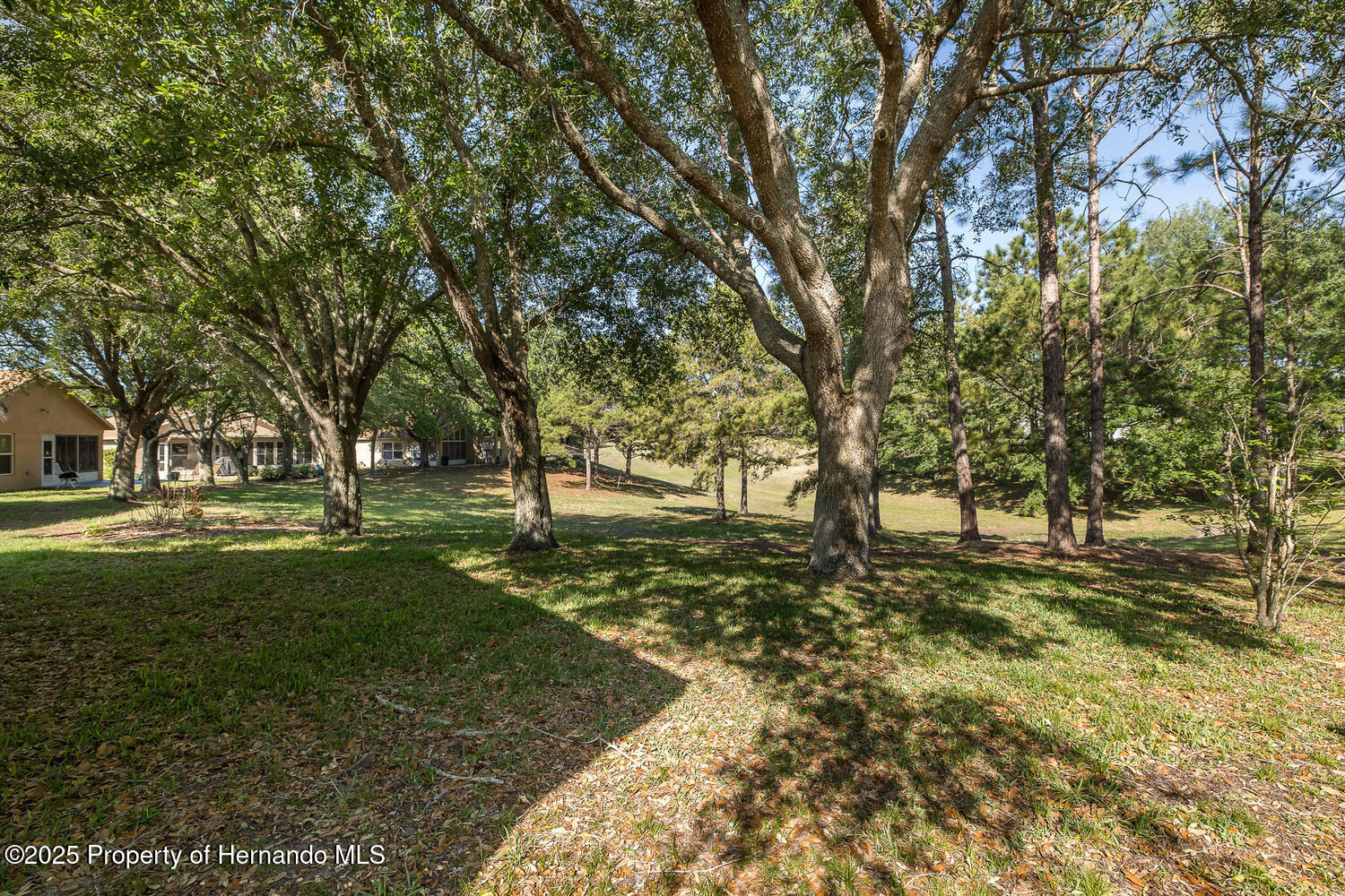259 Center Oak Circle, Spring Hill, Florida image 45