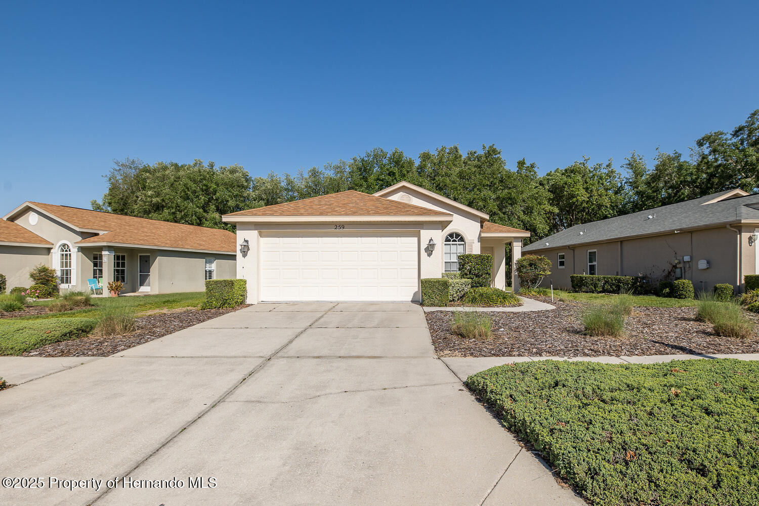 259 Center Oak Circle, Spring Hill, Florida image 4