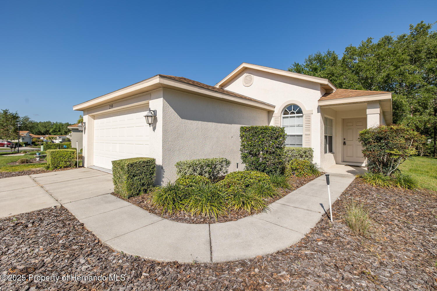 259 Center Oak Circle, Spring Hill, Florida image 11