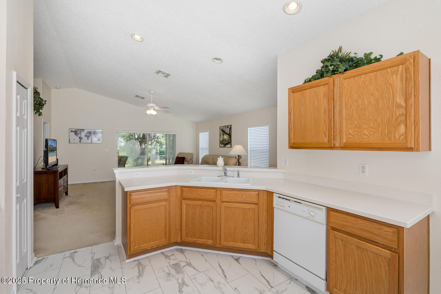 259 Center Oak Circle, Spring Hill, Florida image 19