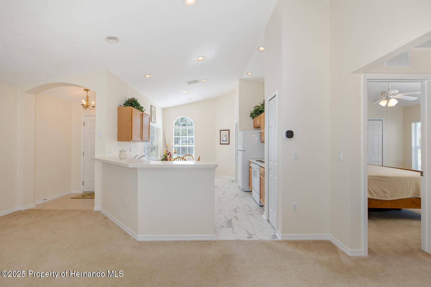 259 Center Oak Circle, Spring Hill, Florida image 15