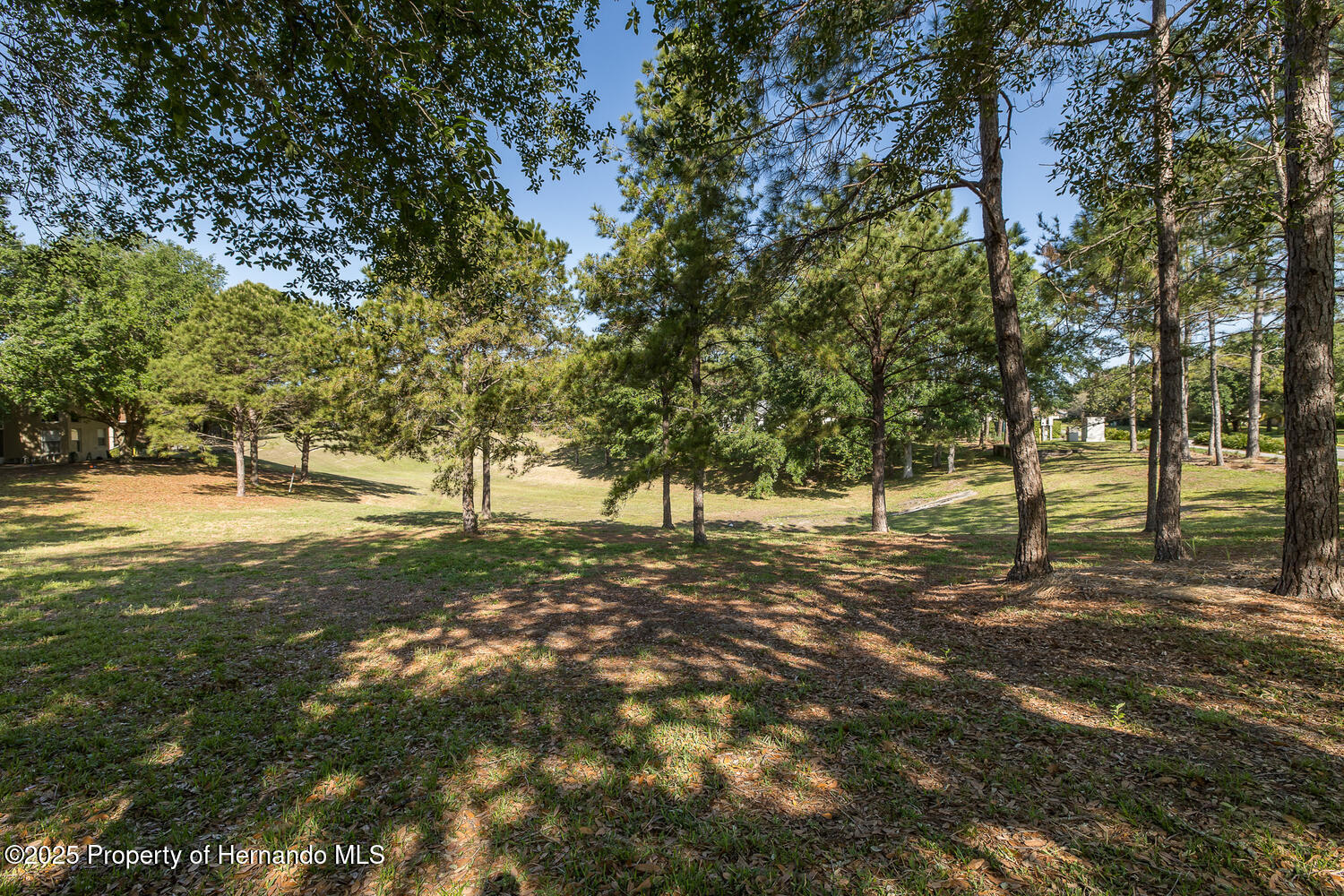 259 Center Oak Circle, Spring Hill, Florida image 46