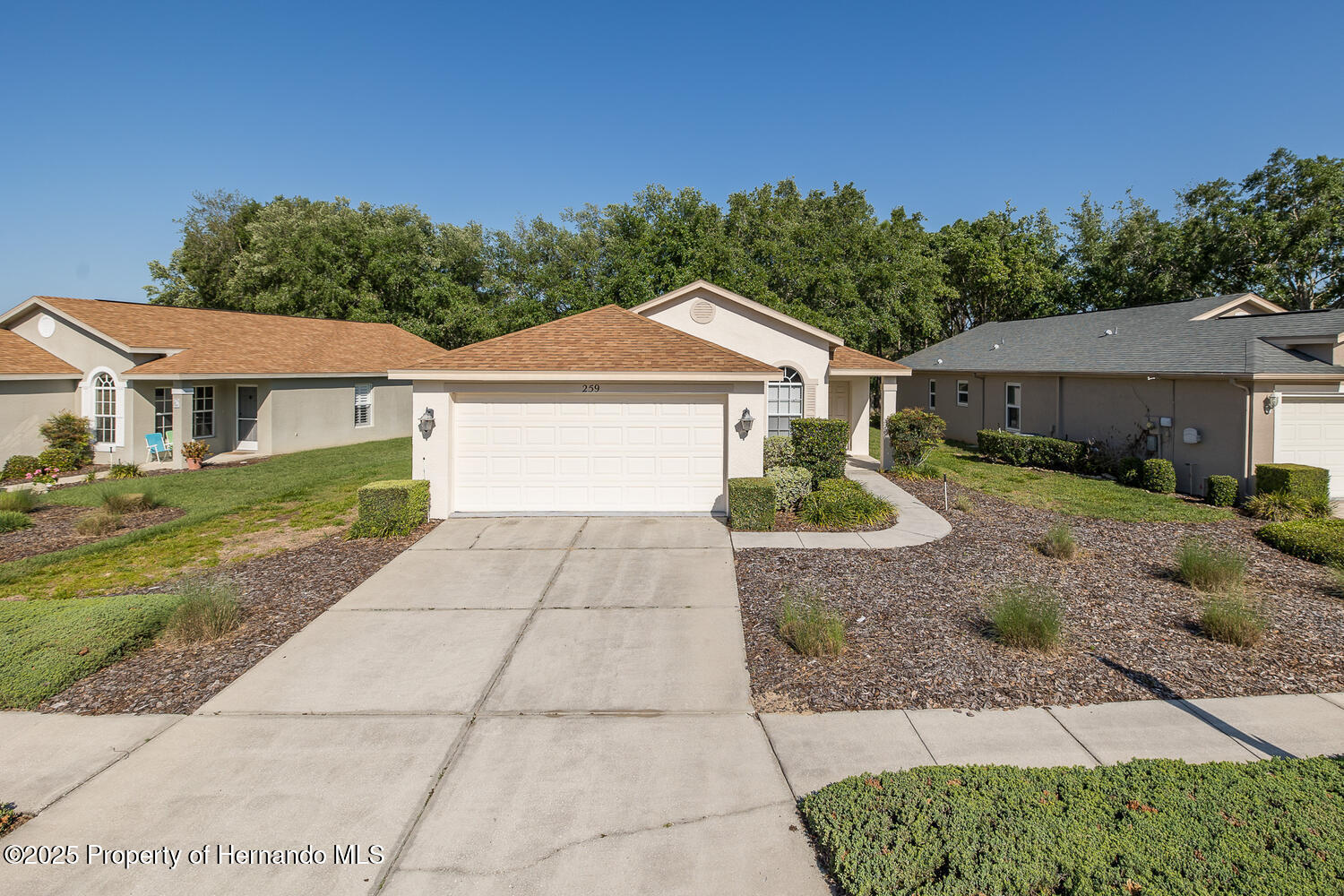 259 Center Oak Circle, Spring Hill, Florida image 1