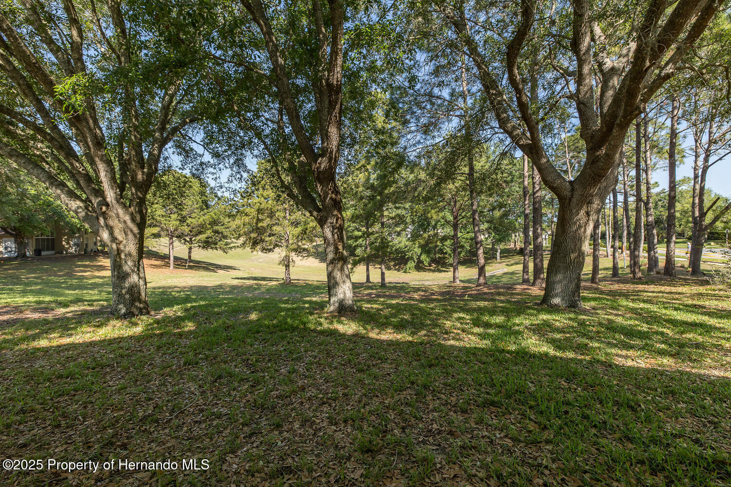 259 Center Oak Circle, Spring Hill, Florida image 44