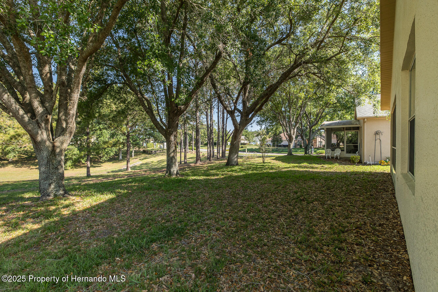 259 Center Oak Circle, Spring Hill, Florida image 43