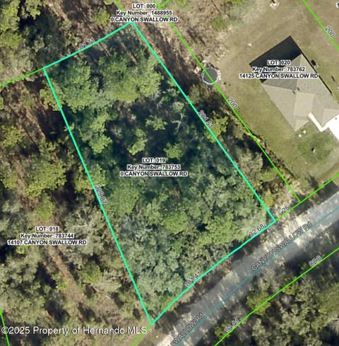 Vacant Land For Sale - LOT 19 Canyon Swallow Road<br/> Weeki Wachee, FL 34614