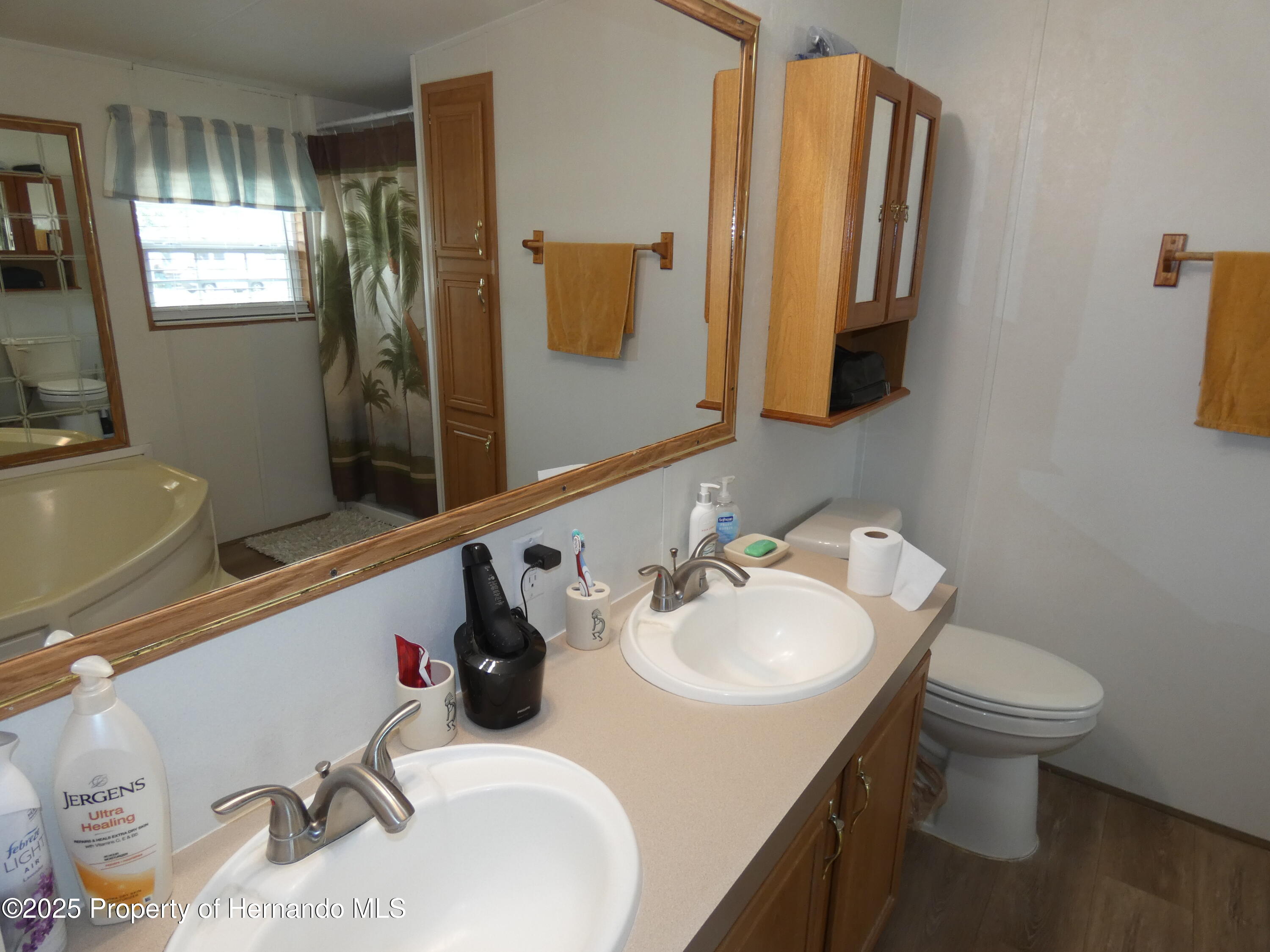 7245 Sealawn Drive, Spring Hill, Florida image 21