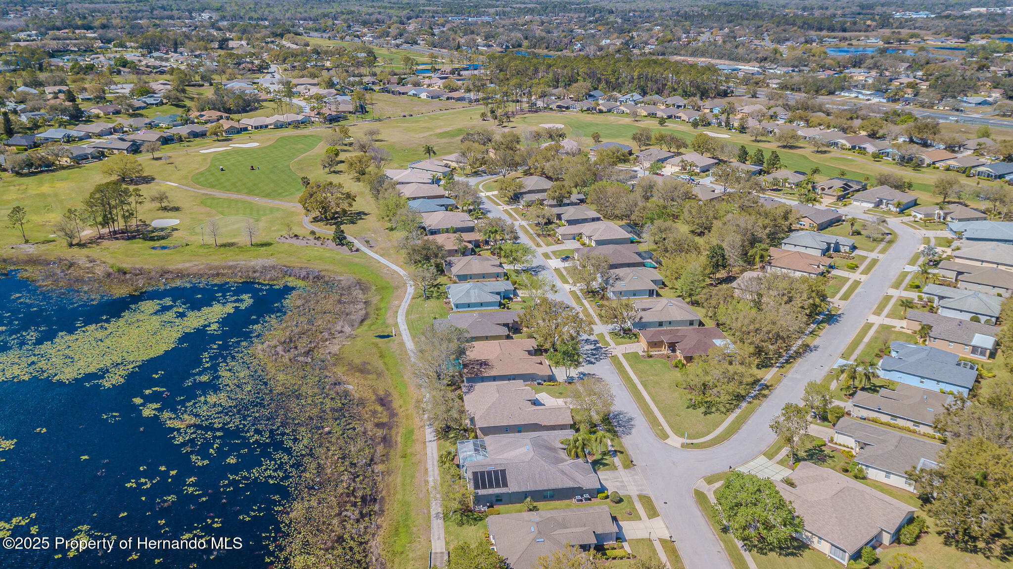 18829 Water Lily Lane, Hudson, Florida image 15