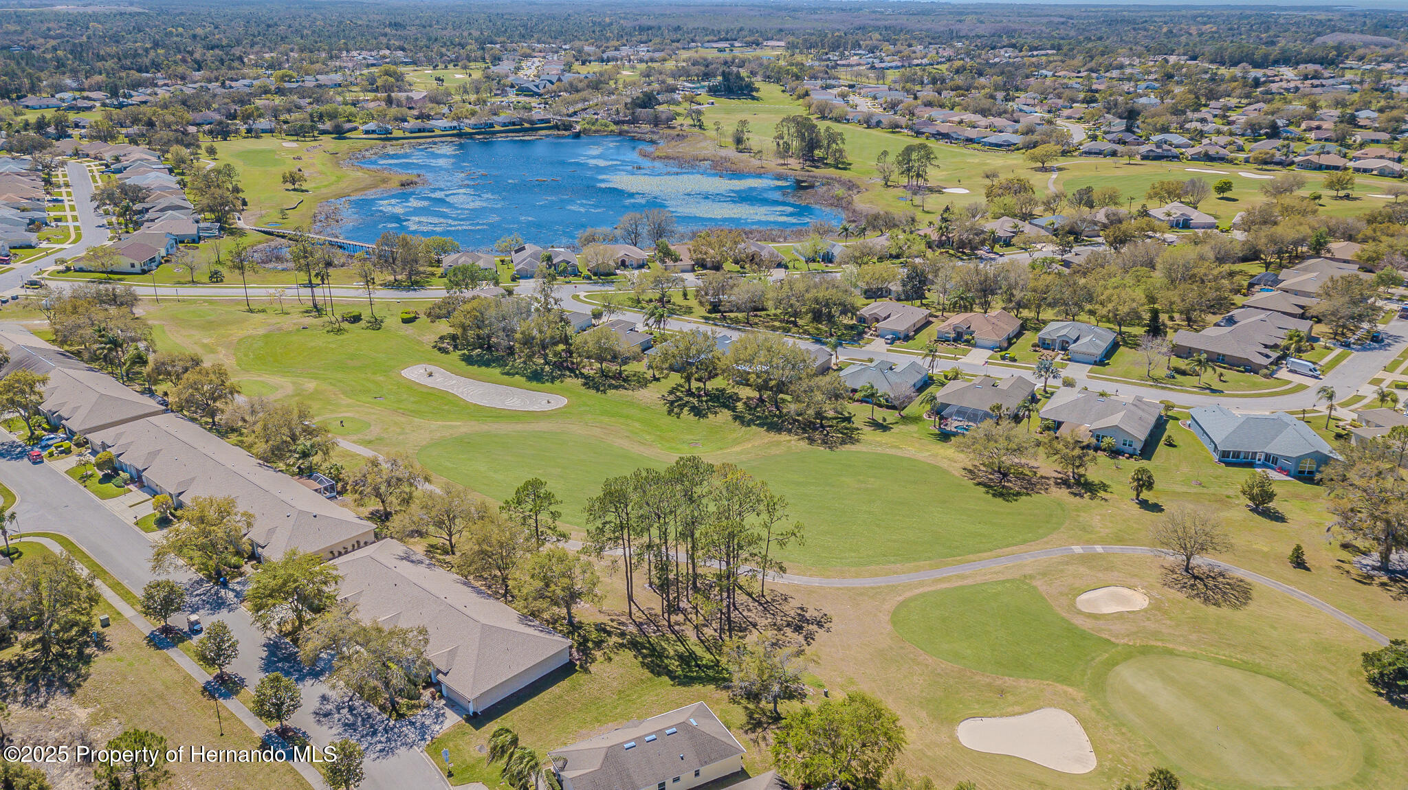 18829 Water Lily Lane, Hudson, Florida image 9