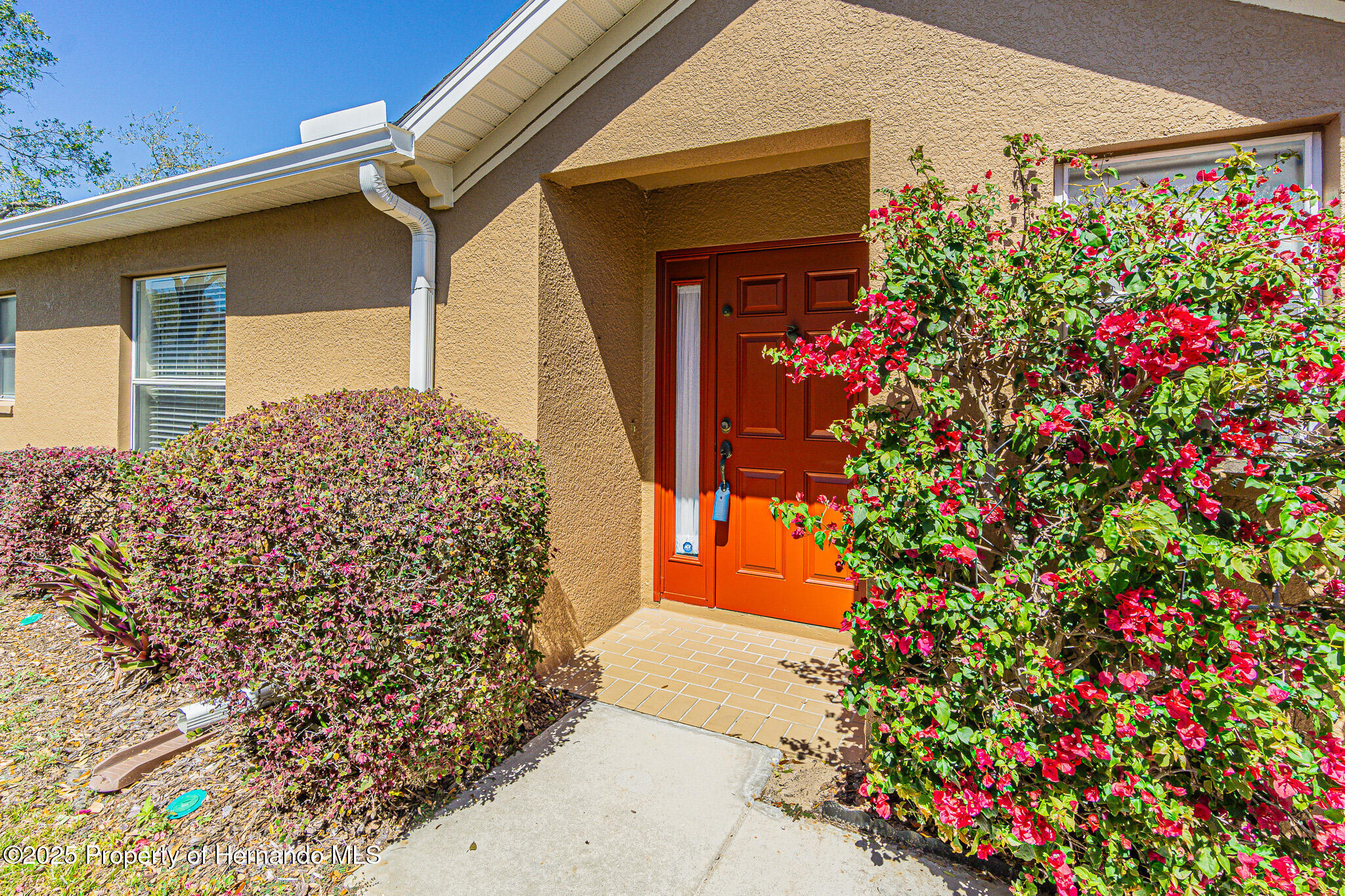 18829 Water Lily Lane, Hudson, Florida image 24