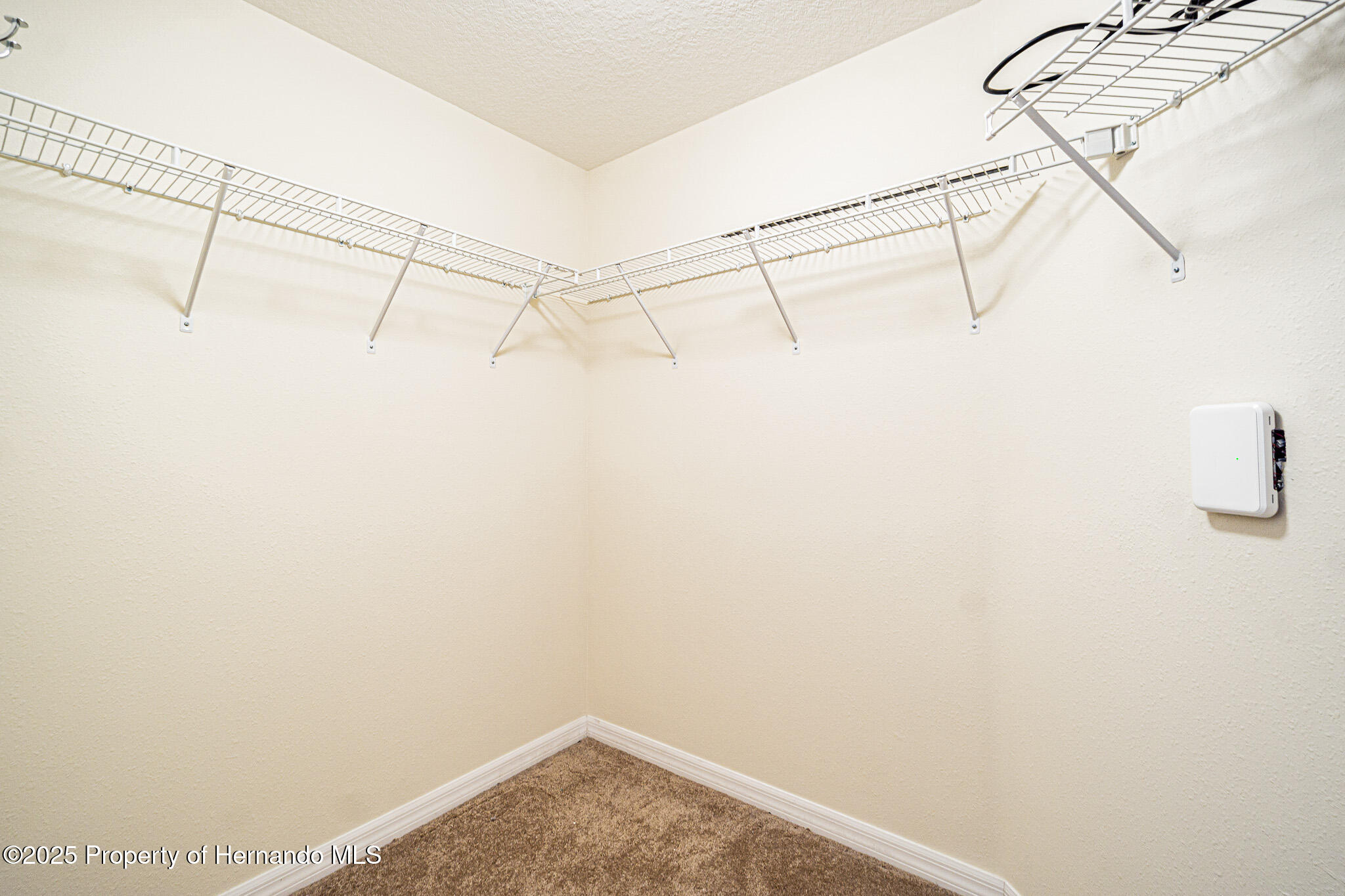 18829 Water Lily Lane, Hudson, Florida image 35