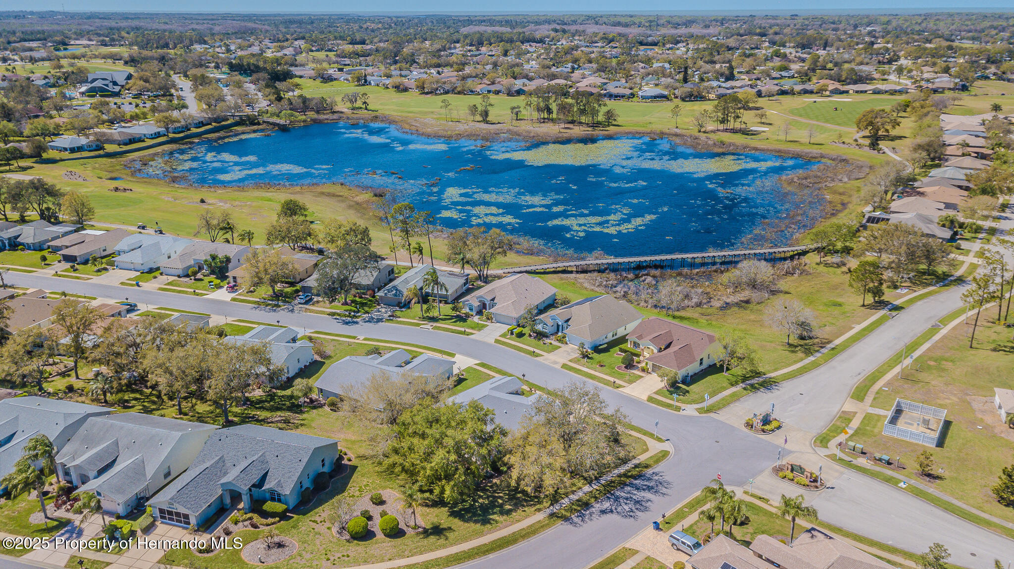 18829 Water Lily Lane, Hudson, Florida image 13