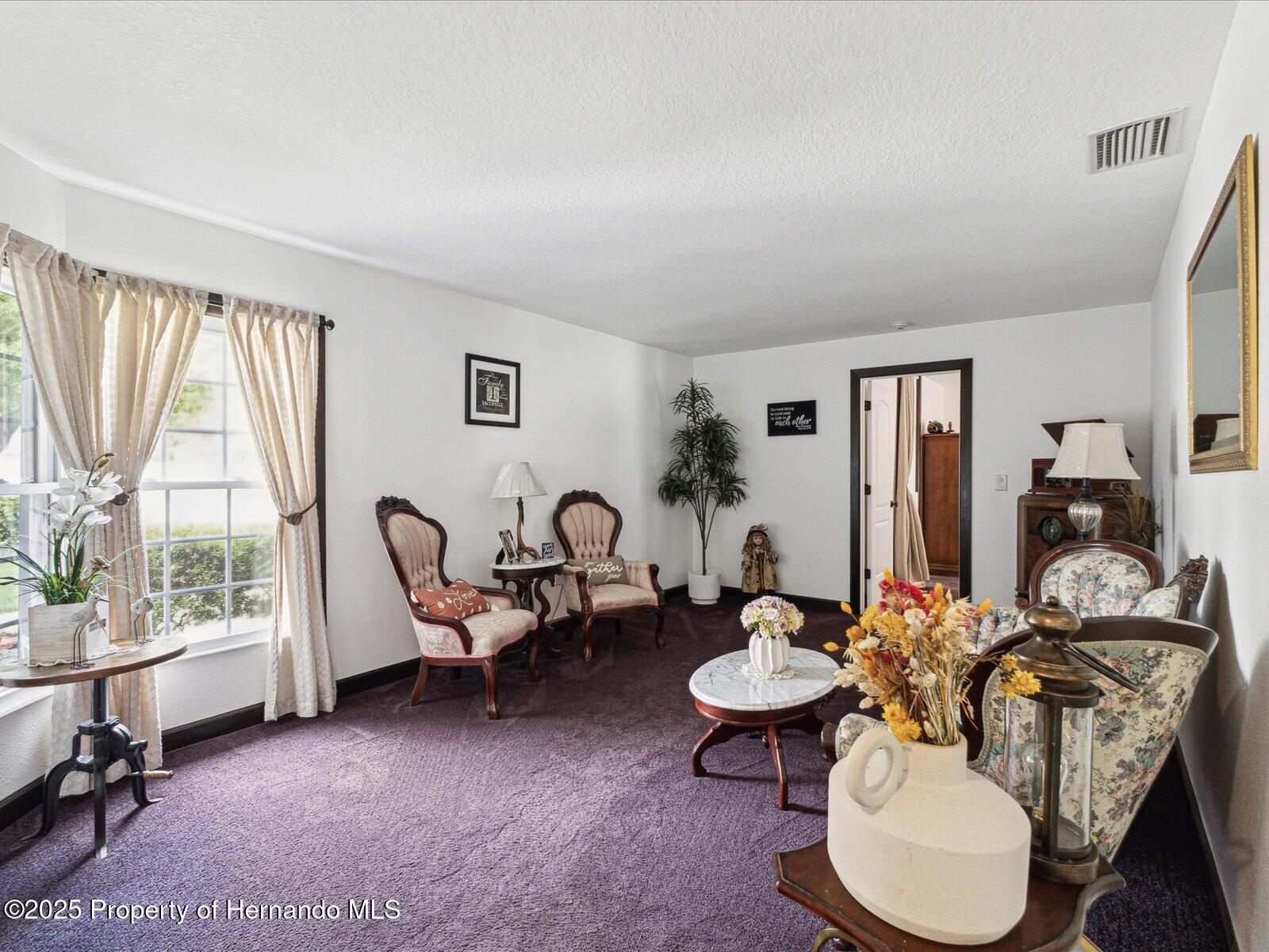 13052 Drysdale Street, Spring Hill, Florida image 17