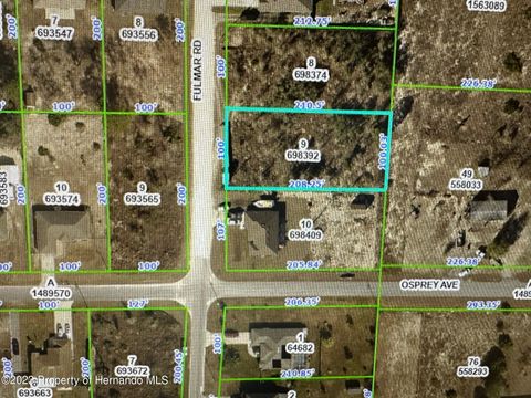 Vacant Land For Sale - Fulmar Road<br/> Weeki Wachee, FL 34614