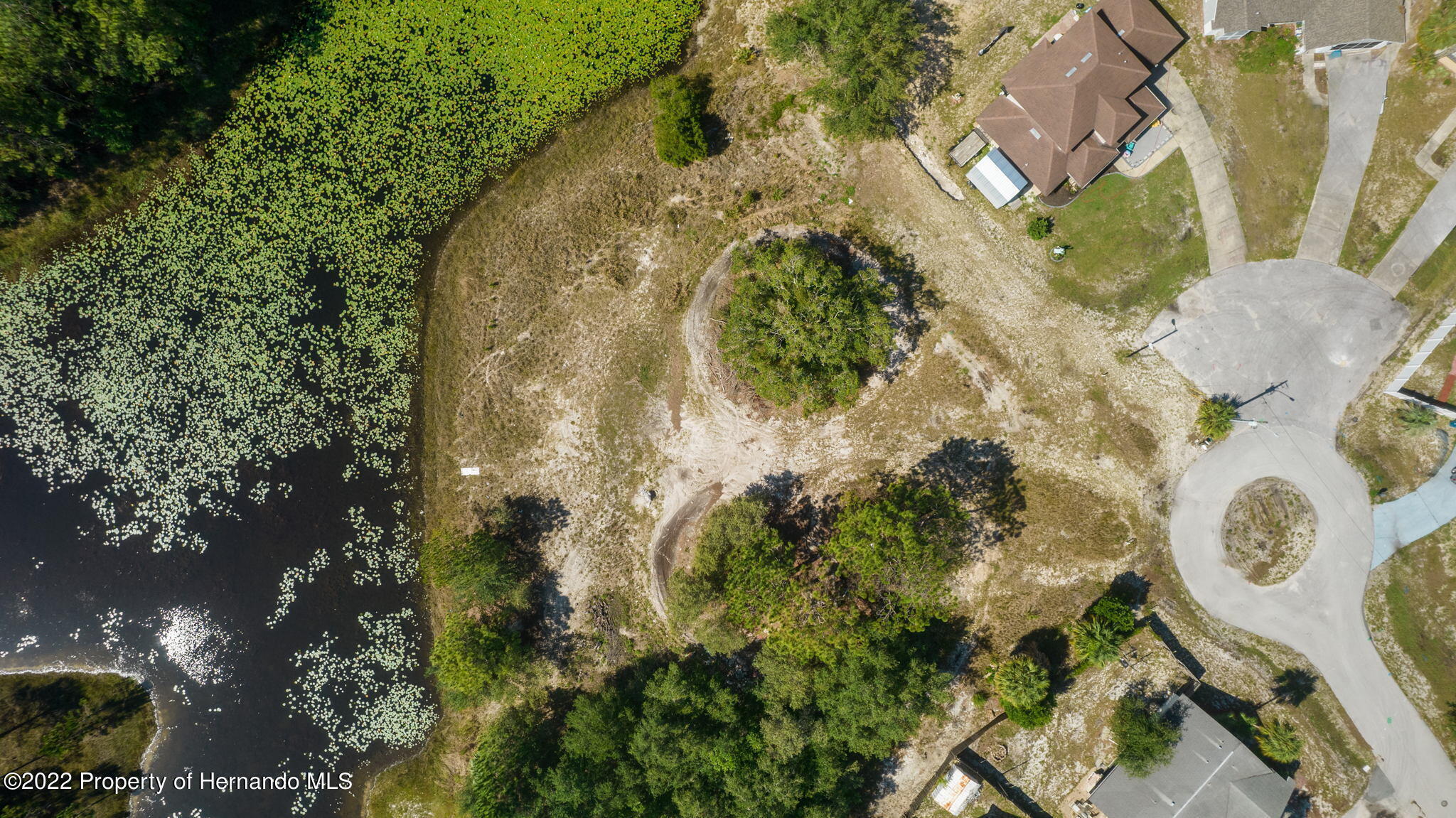 Port Court, Spring Hill, Florida image 8